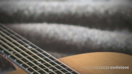 Udemy Guitar Basics For Total Beginners