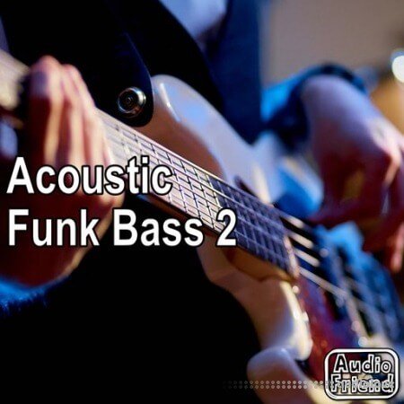 AudioFriend Acoustic Funk Bass 2