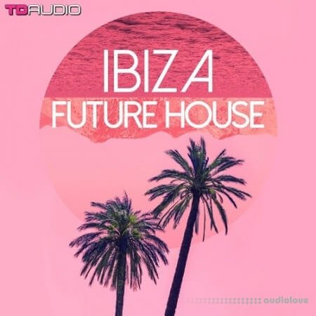 Industrial Strength TD Audio Ibiza Future House