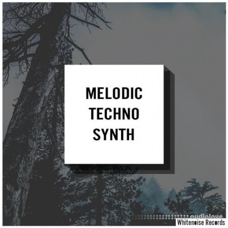 Whitenoise Records Melodic Techno Synth