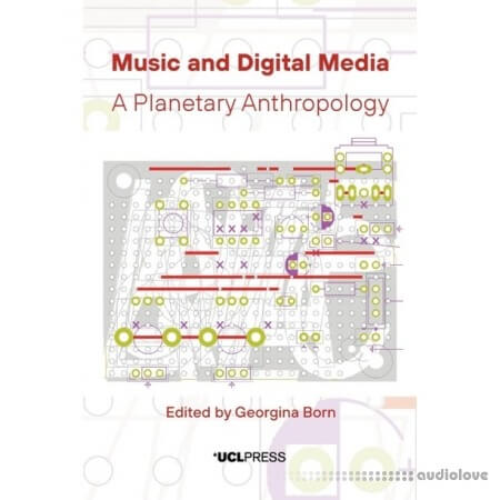 Music and Digital Media : A Planetary Anthropology