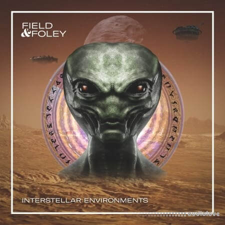 Field and Foley Interstellar Environments