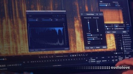 Udemy iZotope RX 9: From 0 to Hero