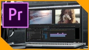 Udemy Introduction to Adobe Premiere Pro CC [Master it in a Day]