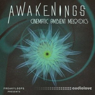 Freaky Loops Awakenings