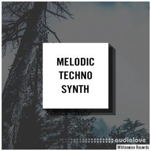 Whitenoise Records Melodic Techno Synth