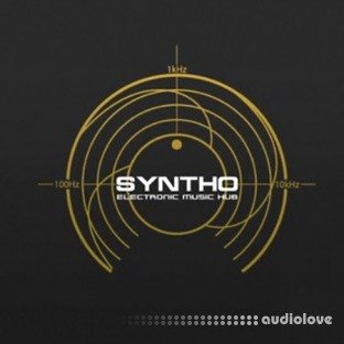 Syntho Hub Vocal Recording and Mixing