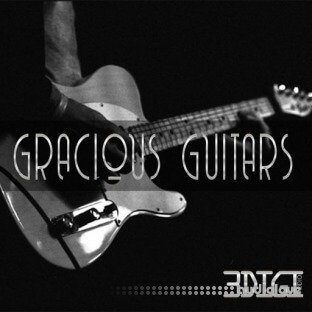 Innovative Samples Gracious Guitars