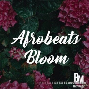 HOOKSHOW Afrobeats Bloom