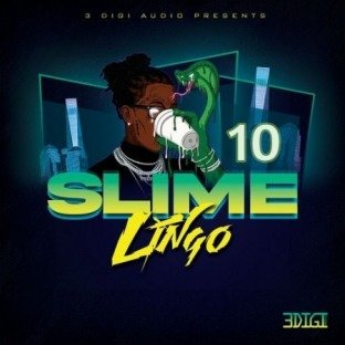 3 Digi Audio Slime Lingo 10