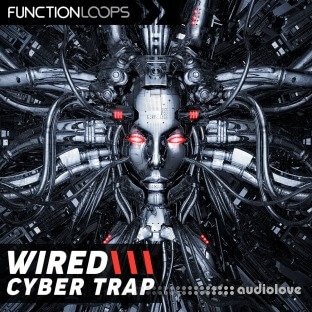 Function Loops Wired Cyber Trap