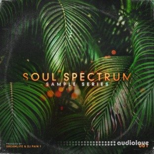 The Sample Lab Soul Spectrum Vol.1 (Compositions and Stems)