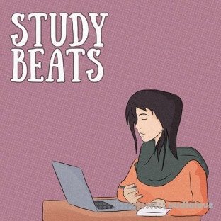 Whitenoise Records Study Beats