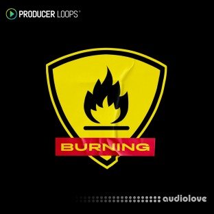 Producer Loops Burning