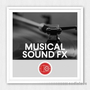 Big Room Sound Musical Sound Effects