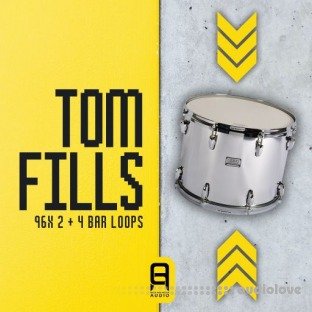 Ultimate Loops O&A TOM FILLS