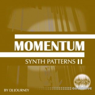 Trip Digital Momentum Synth Patterns Collection 2