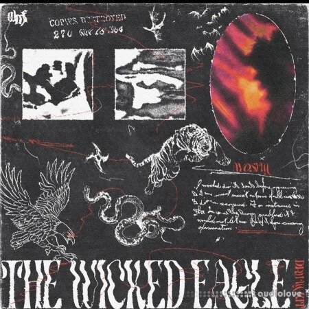 Sim The Wicked Eagle Kit