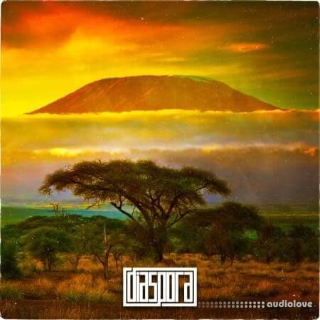 Diaspora Sounds of East Africa Bongo Flava