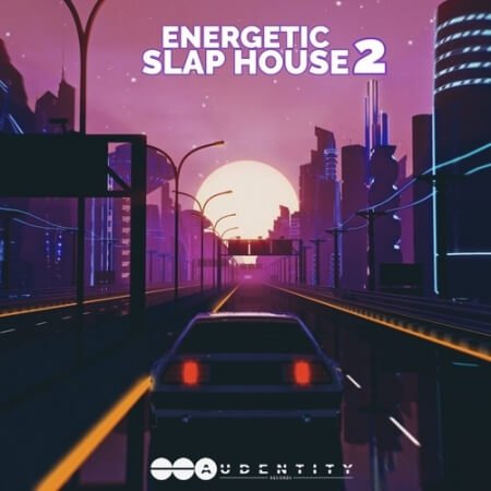 Audentity Records Energetic Slap House 2