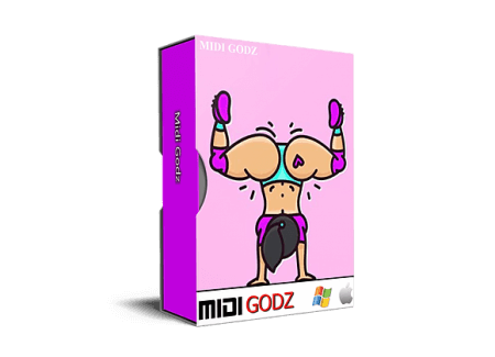 Midi Godz CITY GIRLS Type MIDI Kit