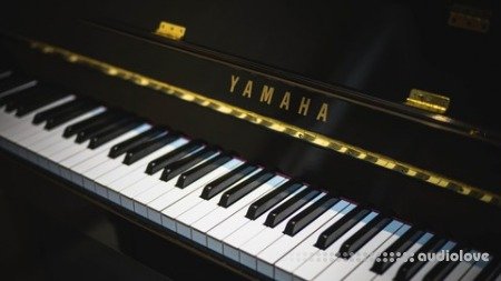 Udemy Piano 101: Beginner Friendly Piano Lessons without a Piano