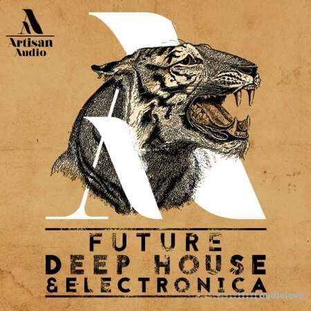 Artisan Audio Future Deep House and Electronica