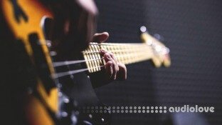 Udemy Learn To Play Bass: Beginner Masterclass