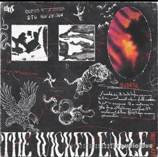 Sim The Wicked Eagle Kit
