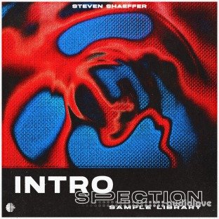 Steven Shaeffer INTROSPECTION (Sample Library)