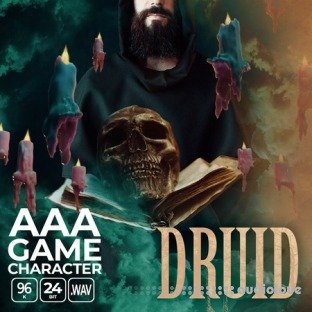 Epic Stock Media AAA Game Character Druid