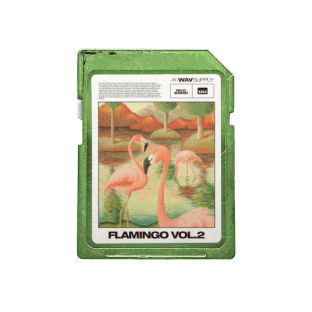 WavSupply Nico Baran Flamingo Vol.2 (Effect Rack Bank)