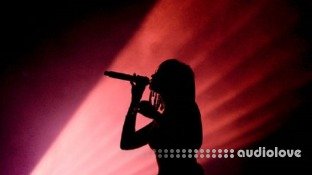 Udemy Be A Star Stage Performance For Singers In 12 Steps Part 1