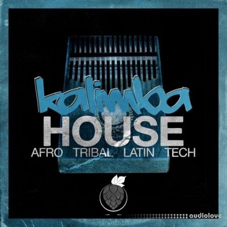 Dirty Music Kalimba House