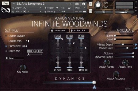 Aaron Venture Infinite Woodwinds