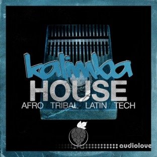 Dirty Music Kalimba House