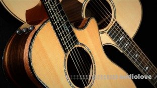 Udemy Best and Easy Acoustic Guitar Songs to Play at Parties