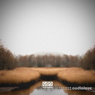 Soul Surplus Deep Marsh (Drum Kit)
