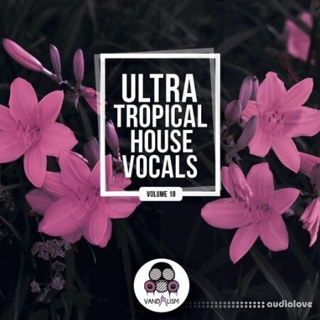 Vandalism Ultra Tropical House Vocals 18