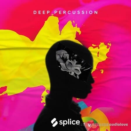 Splice Sessions Deep Percussion
