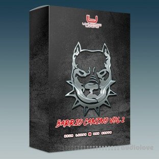 Universe Loops Barrio Canino Vol.2 Sample Pack