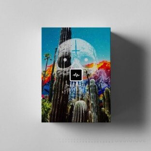 WavSupply KC Supreme Deja Vu Sample Kit (Stems + Midi)