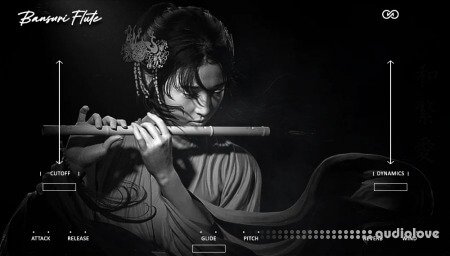 Infinite Audio Bansuri Flute