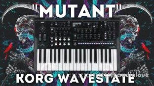 LFO Store Korg Wavestate Mutant 40 Performances