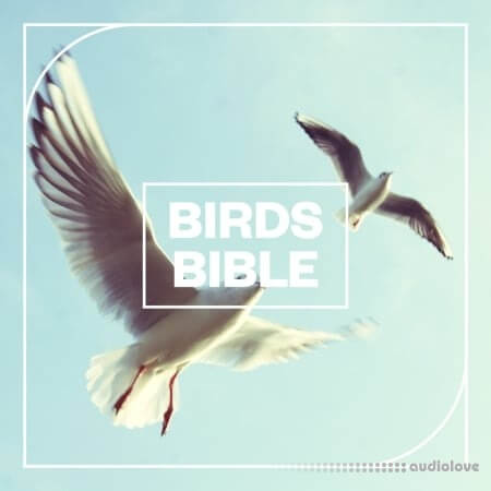 Blastwave FX Birds Bible