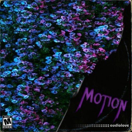 Dynasty Loops Motion