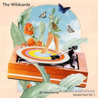 Splice Sounds The Wildcardz Sample Pack Vol.1