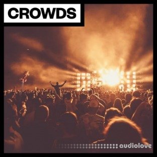 Big Room Sound Crowds