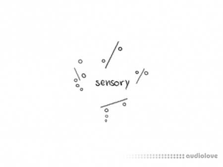 Imago Meri Sensory