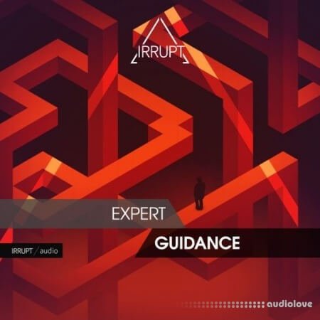 Irrupt Expert Guidance